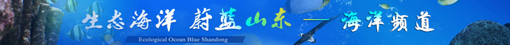 海洋频道