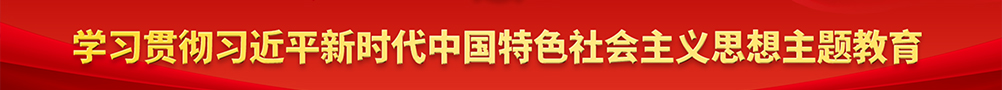 学习贯彻习近平新时代中国特色社会主义思想主题教育